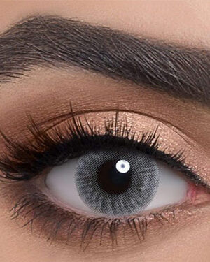 لنز فصلی دهب مدل آیس کد 18 رنگ طوسی یخی روشن