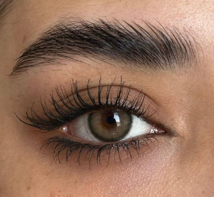 لنز فصلی دهب مدل کاپوچینو کد 35 رنگ عسلی تیره